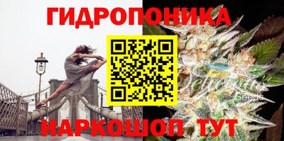 крисы Кумертау